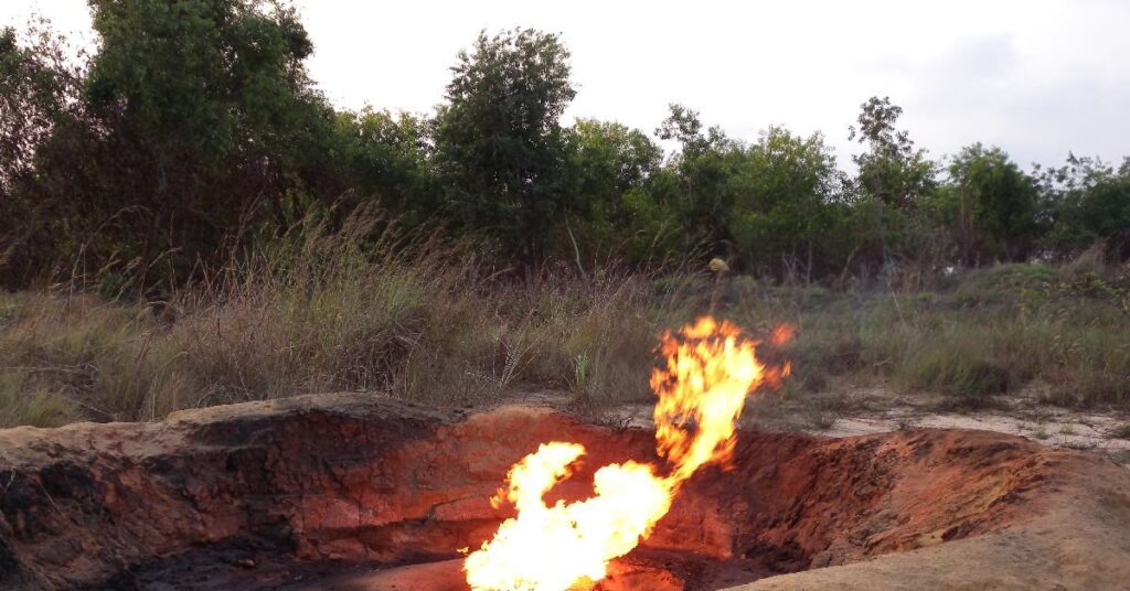 Perenco, DRC.