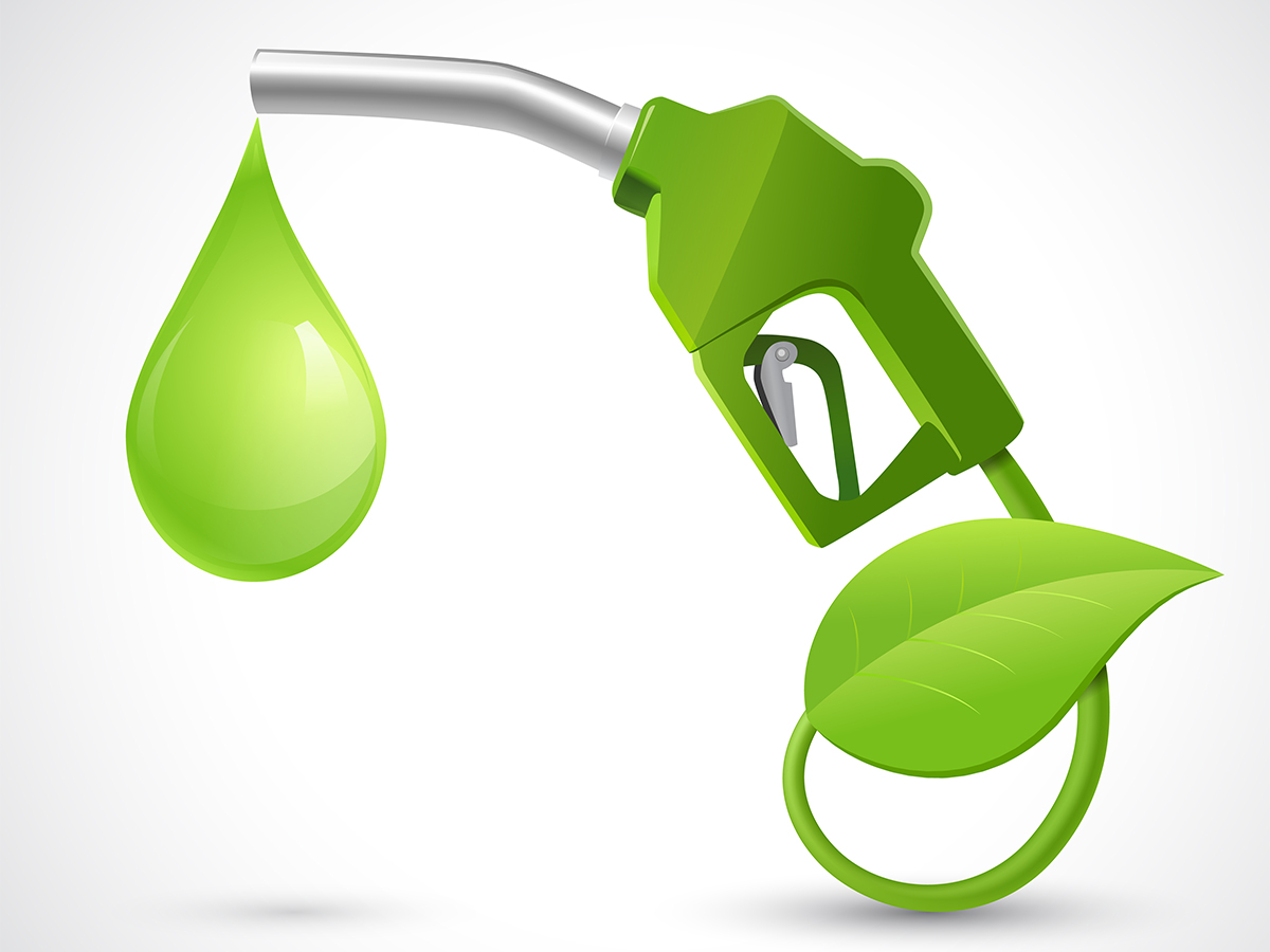 Biofuel-3 Renewable Diesel