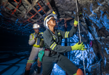 Implats Earnings Surge as Strong PGM Prices Cushion Zimbabwe Cash Constraints